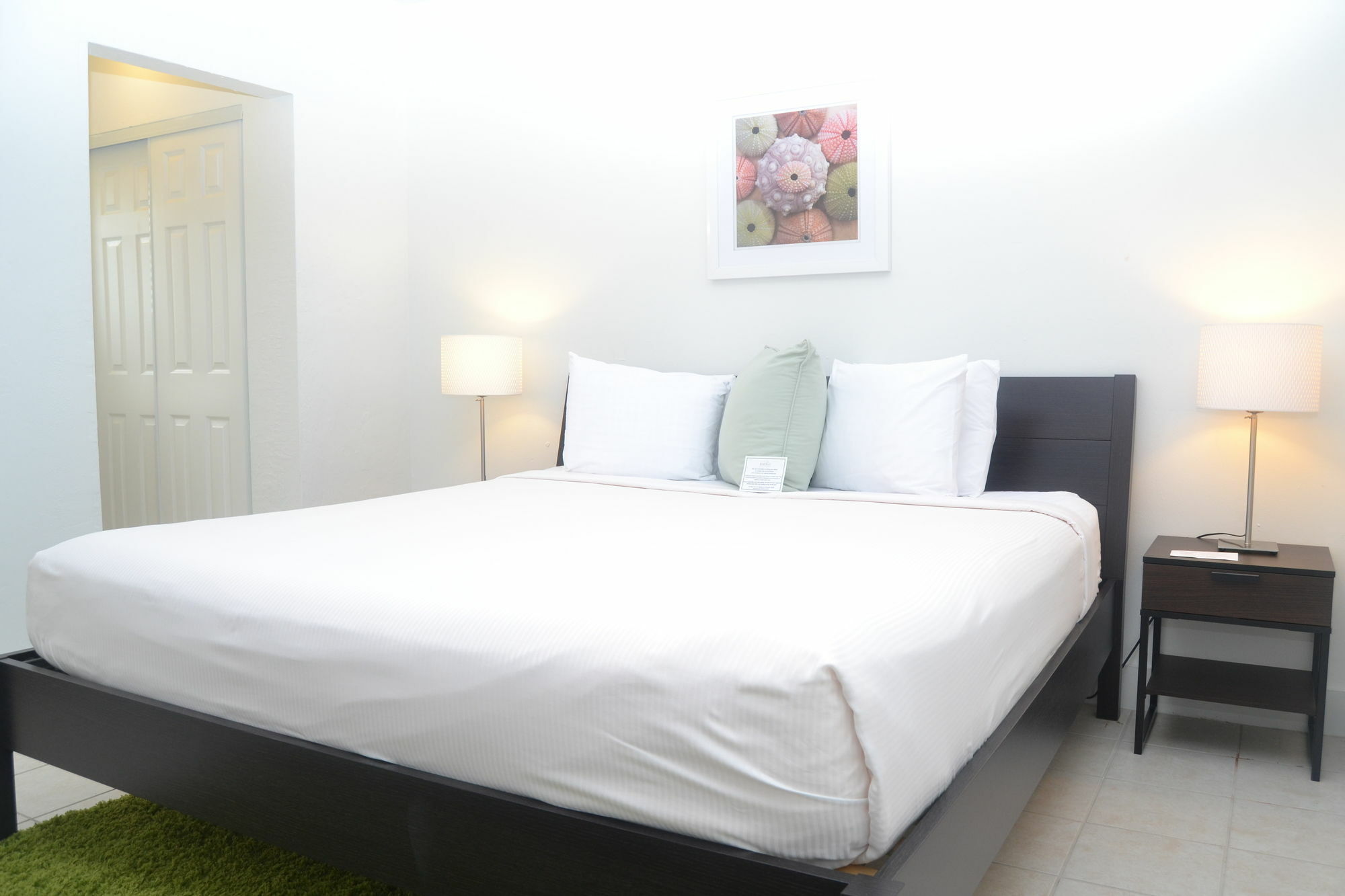 Solas A North Beach Village Resort Hotel 劳德代尔堡 外观 照片